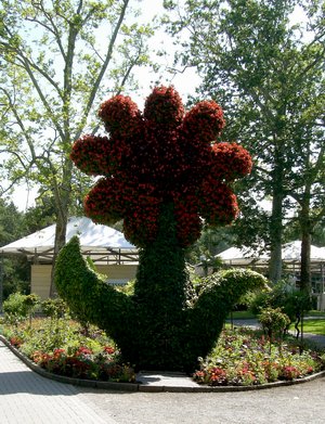 Kunst aus Blumen - Mainau
